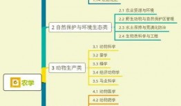 梳妆魔盒爆料视频大全集,视频大全集深度解析