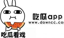 网红吃瓜聊天软件下载,下载热潮背后的社交新趋势