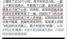 武都网红吃瓜群众事件始末,一场网络舆论的风波与反思