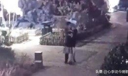 街上免费吃瓜视频,揭秘网络短视频背后的秘密