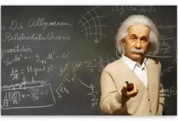 哈佛教授爆料视频大全,视频大全中的惊人爆料与真相