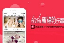 头条爆料正能量视频,传递社会美好瞬间