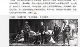 芷江新闻爆料事件始末最新消息,真相追踪与舆论发酵全纪录