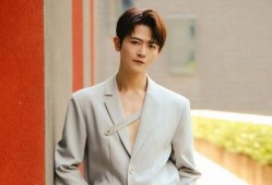 刘大锤爆料吵架视频播放,一场网络风波背后的真相揭秘