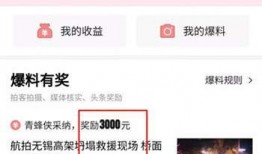 今日头条爆料内容怎么看,揭秘XX行业惊人内幕，真相令人震惊！