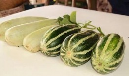 咸阳网红吃瓜事件