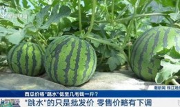 浏阳网红大瓜爆料视频最新,揭秘幕后真相，带你走进网络红人的世界