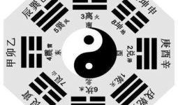 八卦爆料二维码最新,揭秘最新二维码背后的惊人秘密！