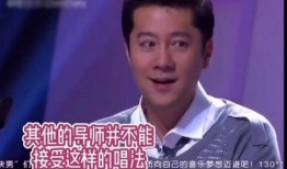 顶流男歌手爆料视频大全,视频大全背后的故事与真相