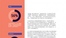 三代风雨技能爆料视频下载,视频爆料揭示全新战斗策略与技能亮点