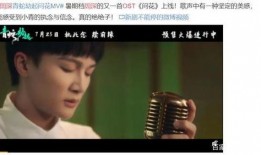 顶流男歌手爆料视频大全,视频大全背后的故事与真相