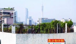 广州海珠区最新爆料,揭秘城市变迁中的热点事件