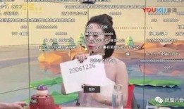 泰国灰产爆料大王视频大全,灰产爆料大王视频大全深度解析