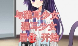猫耳在线观看,探索虚拟世界的奇幻之旅