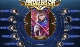 元歌小迷弟爆料视频大全,揭秘元歌视频大全背后的精彩故事