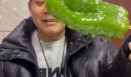 网红村长吃瓜视频,揭秘网络红人的幕后生活