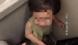 丹东女厕爆料事件视频播放,真相与争议交织