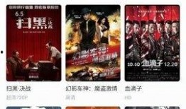 大智爆料娱乐视频完整版,揭秘娱乐圈幕后真相，完整版内容大揭秘