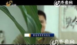 草神早期爆料视频,揭秘早期爆料视频中的神秘元素与精彩预告
