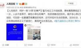 成都大学生爆料案件视频,校园疑云揭开真相