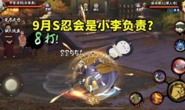 忍战小李爆料视频,揭秘幕后真相与精彩瞬间