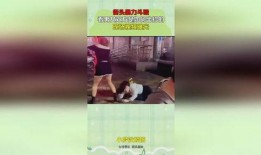 打人视频暴力怎么爆料的,打人视频背后真相揭露