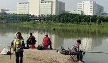 珠海前山河最新爆料,最新爆料揭示城市生态新篇章”