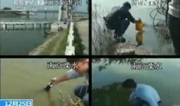 自来水爆料视频,网友热议