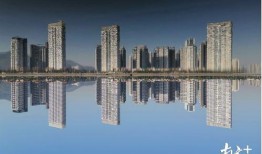 珠海前山河最新爆料,最新爆料揭示城市生态新篇章”