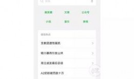 吃瓜小程序免费吃瓜,畅享夏日清凉！揭秘吃瓜小程序的神奇魅力