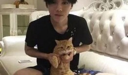 关晓彤鹿晗娱乐爆料,揭秘恋情背后的真相与争议