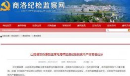 商洛市新闻爆料电话查询,市民关注热点事件追踪