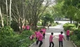 绵阳最新凯厦砍树爆料,真相与争议交织的环保风波