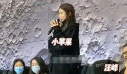 六叔内部爆料视频完整版,完整版视频深度解析