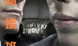 flypaper电影在线观看