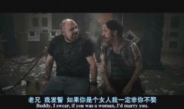 flypaper电影在线观看