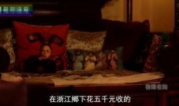 金星爆料豪宅视频下载,奢华生活大揭秘