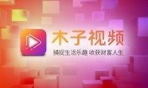 木子爆料视频号,带你走进幕后故事