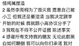 薛之谦绯闻爆料视频,真相与谣言的交织