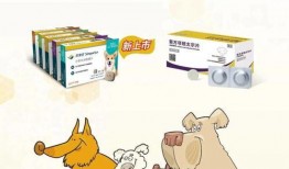 吃瓜巨宠全文免费阅读