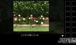 密码花园在线观看,在线观看解锁数字世界的奥秘