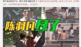 六叔内部爆料视频完整版,完整版视频深度解析
