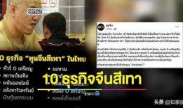 泰国灰产爆料大王视频大全,灰产爆料大王视频大全深度解析