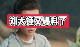 刘大锤爆料吵架视频播放,一场网络风波背后的真相揭秘