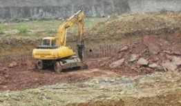 绵阳最新凯厦砍树爆料,真相与争议交织的环保风波