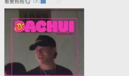 刘大锤爆料吵架视频播放,一场网络风波背后的真相揭秘