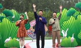 网络套路爆料案例最新视频,最新视频案例深度剖析