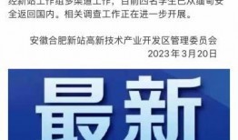 海南本地新闻爆料网,聚焦岛内热点事件，揭秘幕后真相