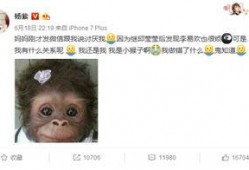 杨紫最新爆料贴微博,揭秘娱乐圈幕后故事